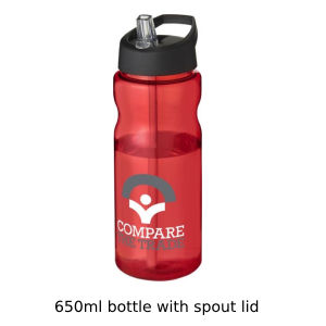 Bottle with spout lid