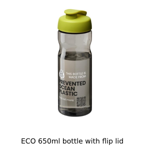 Eco Bottle 650ml with flip lid