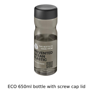 Eco Bottle 650ml with Screw cap lid