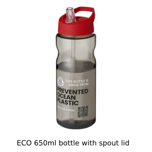 Eco Bottle 650ml with Spout lid