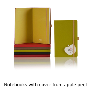 Photo of range of notebooks with cover made from apple peel