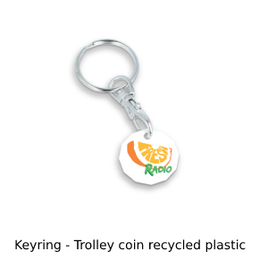 Photo of trolley coin keyring in recycled plastic with colour print